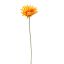 SPIDER GERBERA 65CM ORANGE
