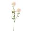GERBERA SPRAY 66CM PINK