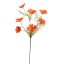 COSMOS SPRAY 75CM ORANGE