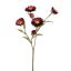 STRAW FLOWER 65CM BORDEAUX