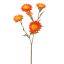 STRAW FLOWER 65CM ORANGE