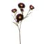 STRAW FLOWER 65CM PURPLE