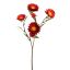 STRAW FLOWER 65CM RED