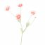 COSMOS SPRAY 92CM CREAM PINK