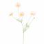COSMOS SPRAY 92CM PEACH