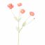 COSMOS SPRAY 92CM SALMON
