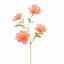 DAHLIA SPRAY 65CM BEAUTY