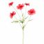 COSMOS SPRAY 70CM BEAUTY