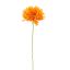SPIDER GERBERA 45CM ORANGE