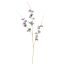 LONG COSMOS 105CM LAVENDER