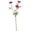 RANUNCULUS SPRAY X 3 66CM BEAUTY
