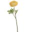 SINGLE RANUNCULUS 56CM YELLOW