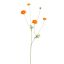 RANUNCULUS 90CM ORANGE