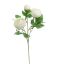 RANUNCULUS 42CM CREAM