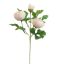 RANUNCULUS 42CM PEACH