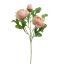 RANUNCULUS 42CM PINK