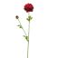 RANUNCULUS 62CM PURPLE