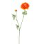 RANUNCULUS 65CM ORANGE