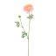 RANUNCULUS 65CM PINK