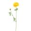 RANUNCULUS 65CM YELLOW