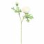 RANUNCULUS X2 56CM CREAM
