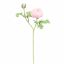 RANUNCULUS X2 56CM PINK