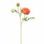 RANUNCULUS X2 56CM RED