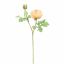 RANUNCULUS X2 56CM YELLOW