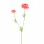 RANUNCULUS X 2 64CM BEAUTY