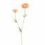 RANUNCULUS X 2 64CM PEACH