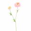 RANUNCULUS X 2 64CM PINK