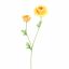 RANUNCULUS X 2 64CM YELLOW