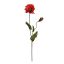 POPPY SPRAY X 2 72CM RED
