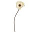 POPPY PU 65CM CREAM