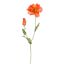 POPPY 75CM ORANGE