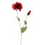 POPPY 75CM RED