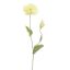 POPPY 75CM YELLOW