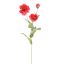 POPPY X 3 110CM BEAUTY