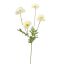 POPPY 60CM CREAM