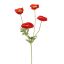 POPPY 60CM RED