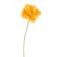 SINGLE POPPY 73CM ORANGE
