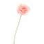 SINGLE POPPY 73CM PINK