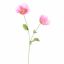 POPPY 72CM BEAUTY