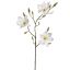 MAGNOLIA SPRAY 90CM CREAM
