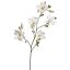 LARGE MAGNOLIA SPRAY 120CM CREAM