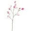 MAGNOLIA BRANCH 140CM BEAUTY