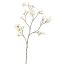 MAGNOLIA BRANCH 140CM CREAM