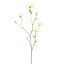 MAGNOLIA SPRAY 110CM CREAM