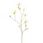 MAGNOLIA SPRAY 110CM PEACH