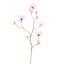MAGNOLIA SPRAY 110CM PINK